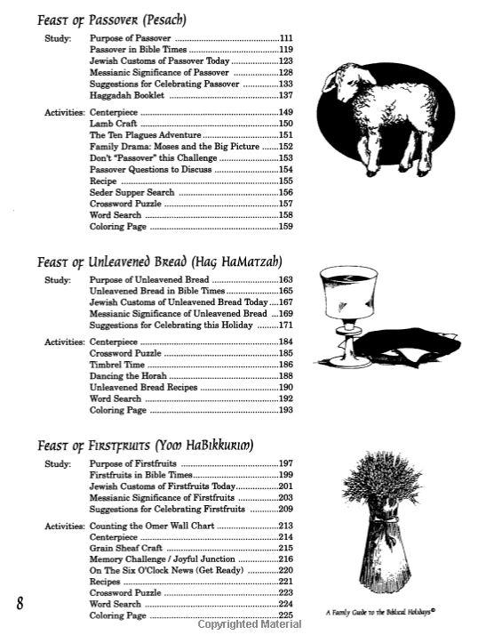 A Family Guide to the Biblical Holidays - Rock of Israel Store