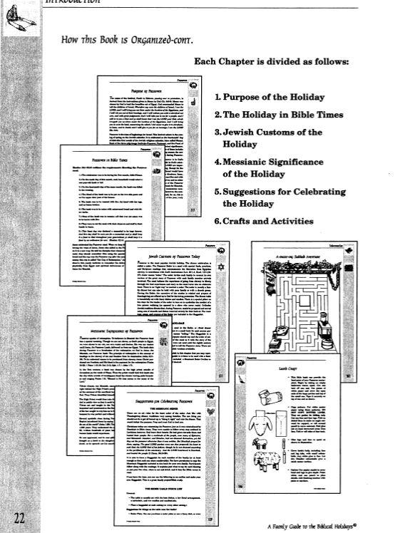 A Family Guide to the Biblical Holidays - Rock of Israel Store