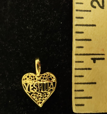 Yeshua heart necklace.  14K Gold plated. - Rock of Israel Store