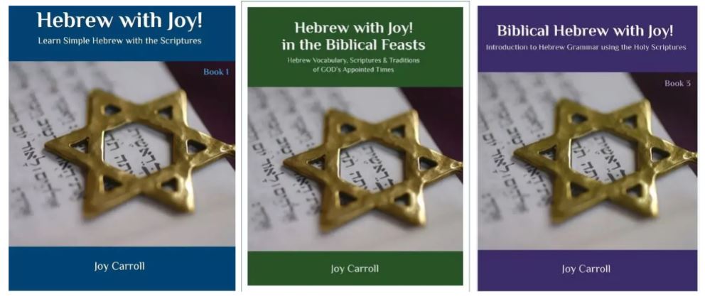 Hebrew with Joy!  A Three Volume set to learn Biblical Hebrew
