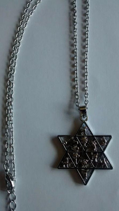 Twelve tribes star of David necklace - Rock of Israel Store