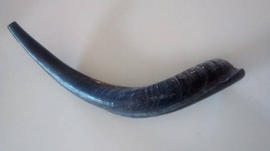 Shofar Medium - Rock of Israel 