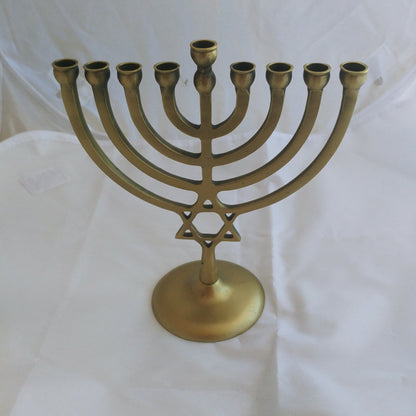 Hanukkiah - Nine Branch Menorah