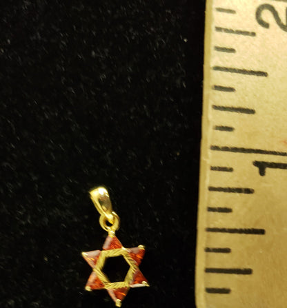 Star of David  w/ red stones / Gold plated / Silver 925 - Rock of Israel Store