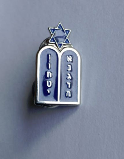 Torah / Hebrew lapel pin